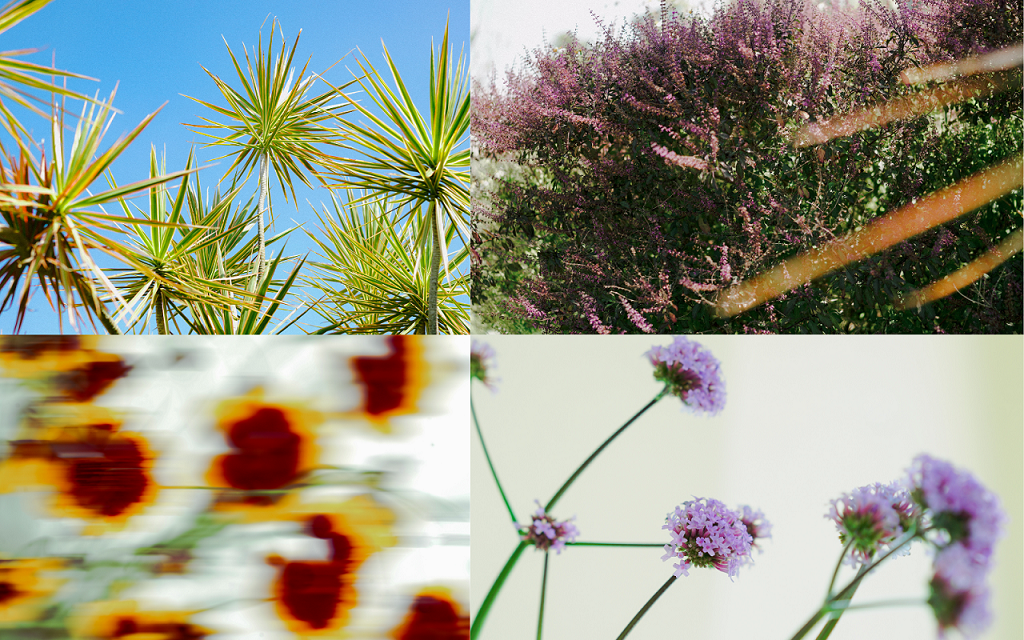 官網 16001000像素