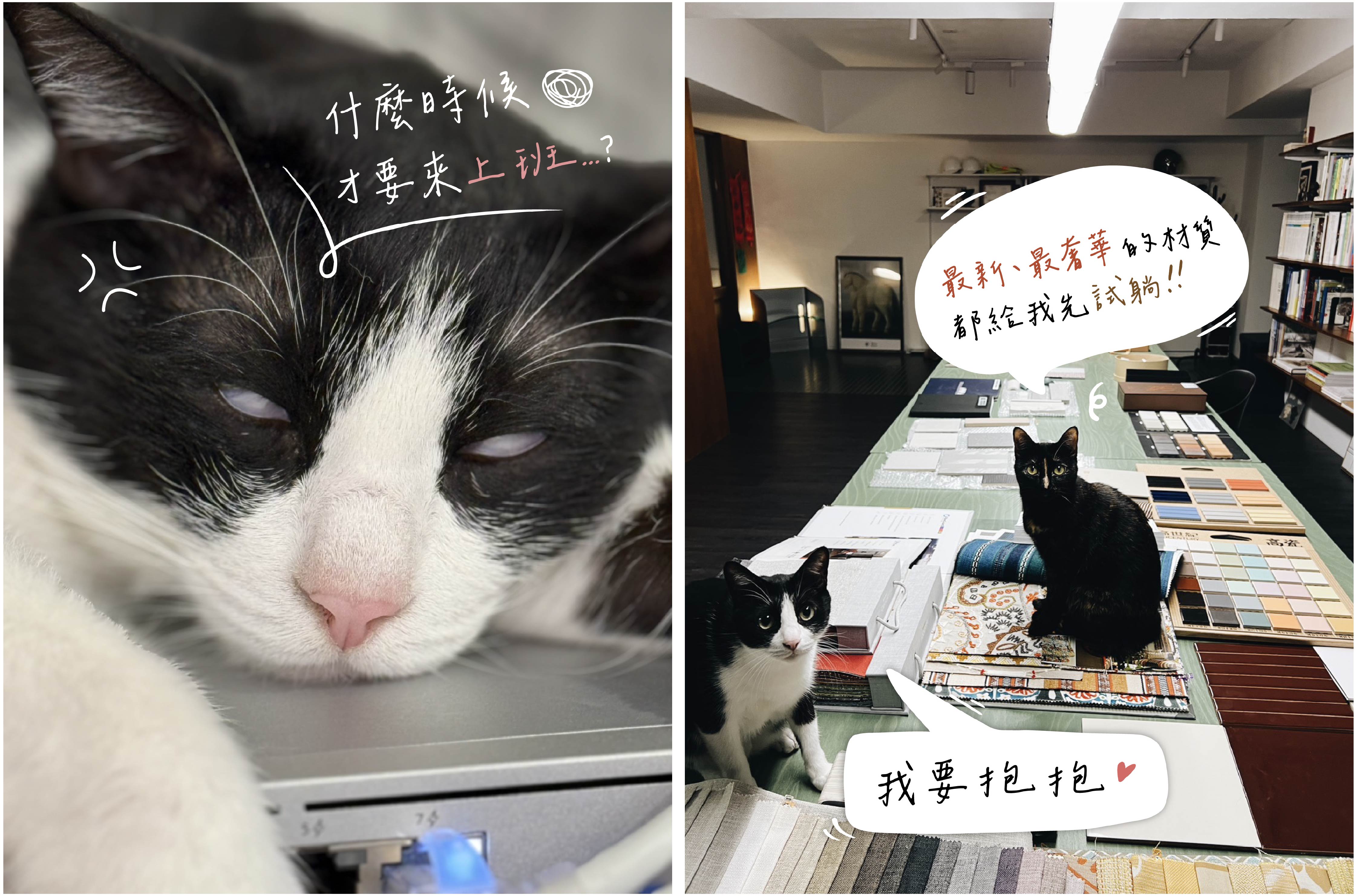 毛朋友_萬萬.咕咕合照、毛朋友_咕咕(隨興文字) -01_工作區域 1 複本 2