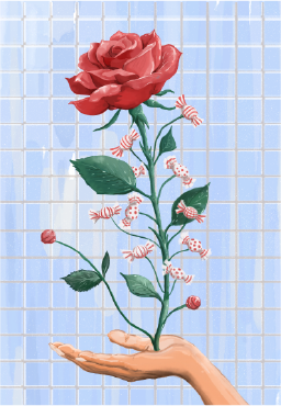 玫瑰