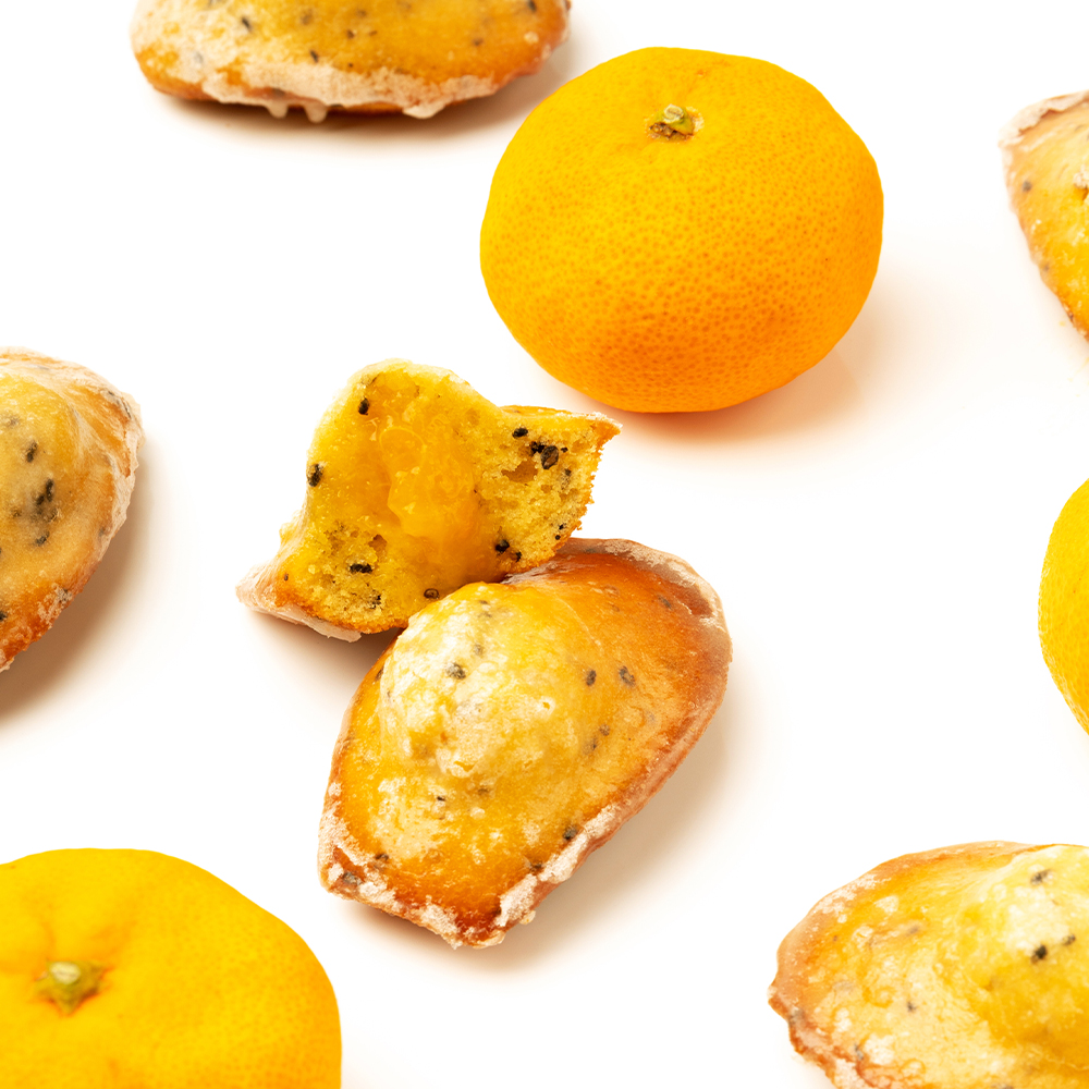 230黑芝麻瑪德蓮