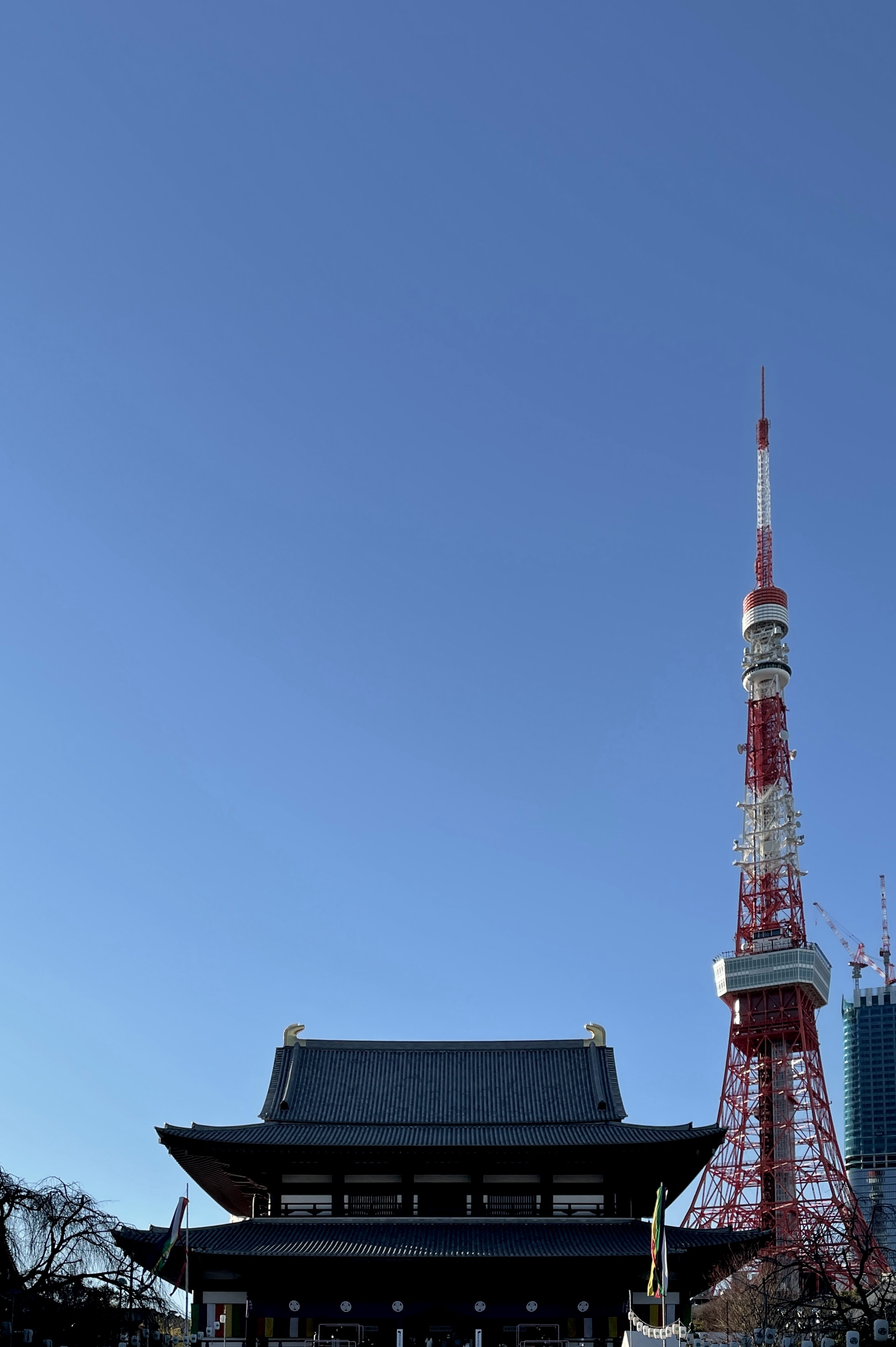 初詣_增上寺